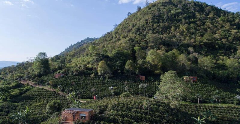 Private Coffee Plantation Tour With Tasting and Lunch - Key Points