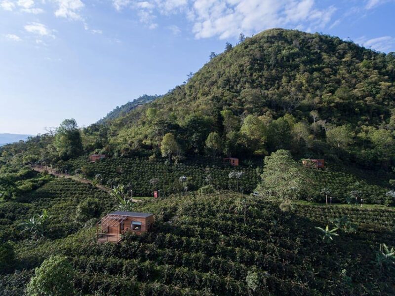 Private Coffee Plantation Tour With Tasting and Lunch - Booking Information