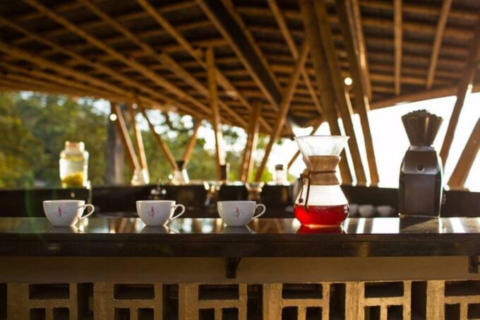 Private Coffee Plantation Tour With Tasting and Lunch - Coffee Plantation Tour