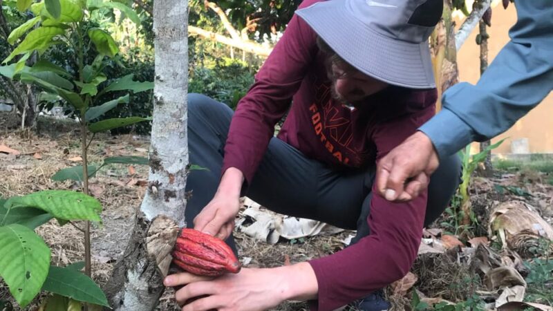 Private Coffee Tour in Huayopata - Booking Information