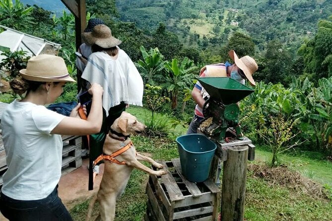 Private Coffee Tour in Jardín Antioquia - Meeting and Pickup