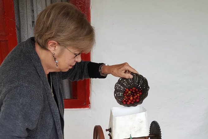 Private Coffee Tour Near Medellín, From Bean to Cup. - Authentic Cultural Immersion