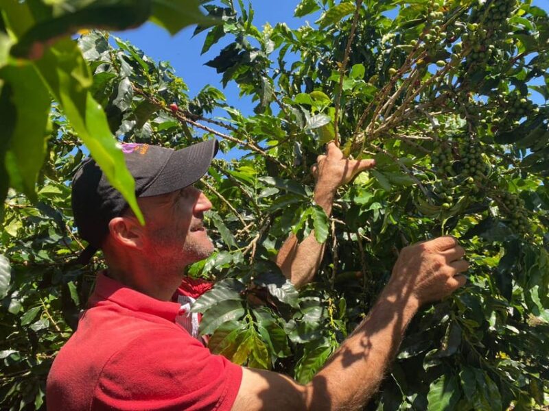 Private Coffee Tradition in Jardín Near Medellín - Itinerary Details