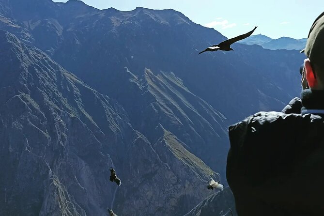 Private Colca Full-Day Tour From Arequipa - Booking Information