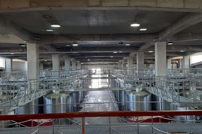 Private Colchagua Valley Wine Tour All Inclusive From Santiago - Lunch at Rayuela Wine and Grill