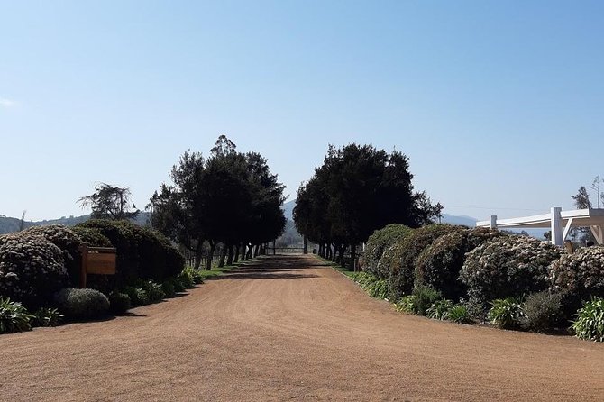 Private Colchagua Valley Wine Tour All Inclusive From Santiago - Booking Information and Reserve Now