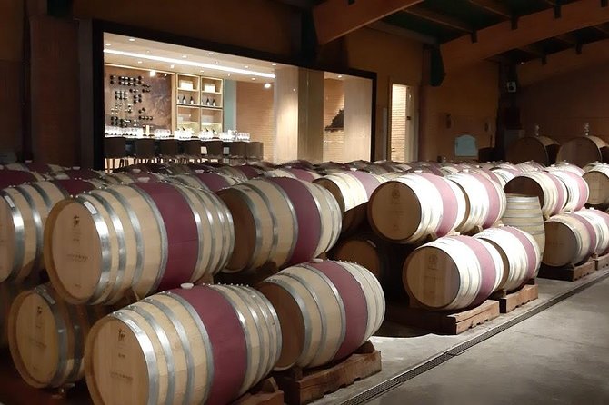 Private Colchagua Valley Wine Tour All Inclusive From Santiago - Explore Colchagua Valleys Rich Winemaking