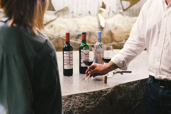 Private Colchagua VIK and Montes Wineries Experience - Key Points