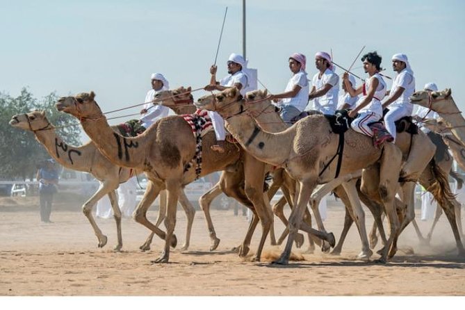 (Private Combo Tour) Sheikh Faisal Museum And Camel Race Track - Pricing and Reviews