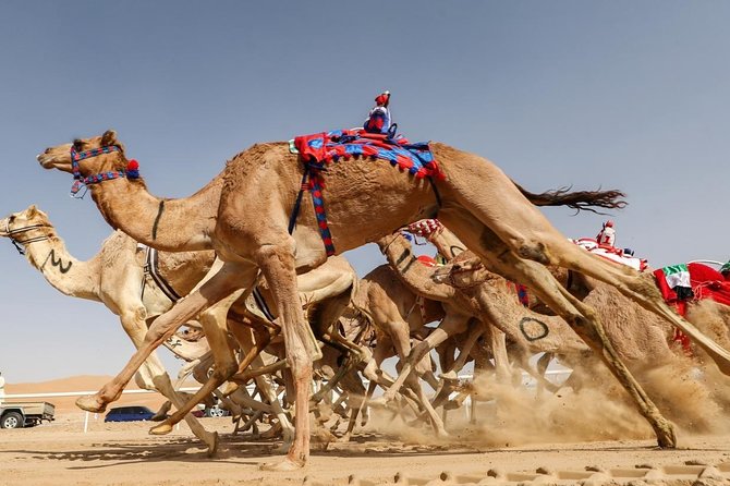 (Private Combo Tour) Sheikh Faisal Museum And Camel Race Track - Camel Racing Tradition