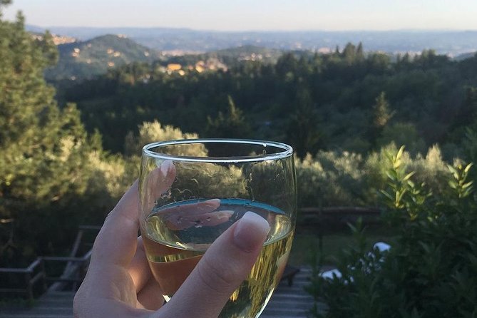 Private Cooking Class in a Florentine Villa With Transfer - Tuscan Lunch and Wine