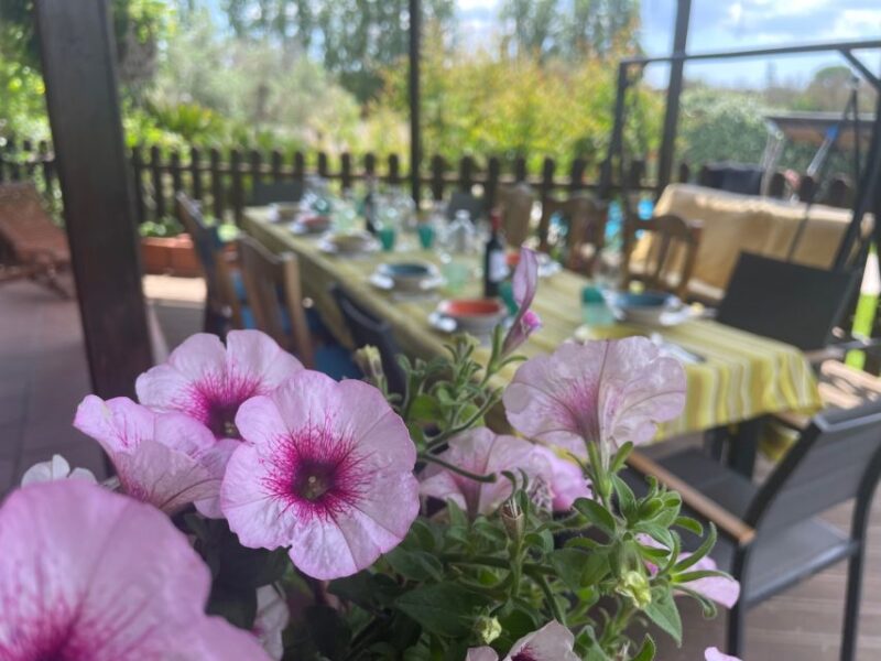 Private Cooking Class in Lecce (Corigliano): Handmade Pasta - Customer Feedback and Ratings