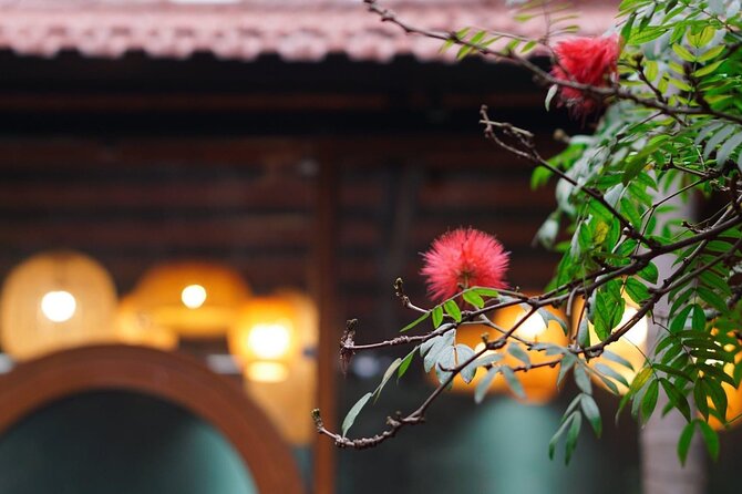 Private Cooking Class in Local Villa With Market Tour - Accessibility and Accommodations