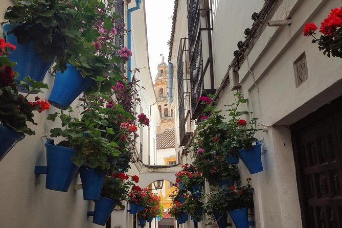 Private Córdoba Highlights Walking Tour - Discovering Cordobas History and Culture
