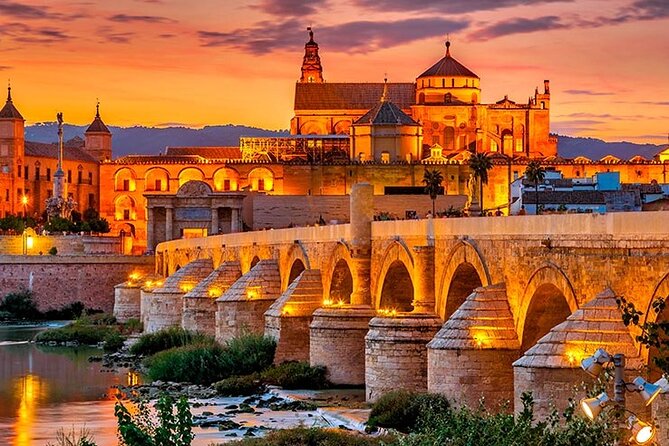 Private Cordoba & Seville Tour With a Finale Horse Carriage Ride - Accessibility and Participation