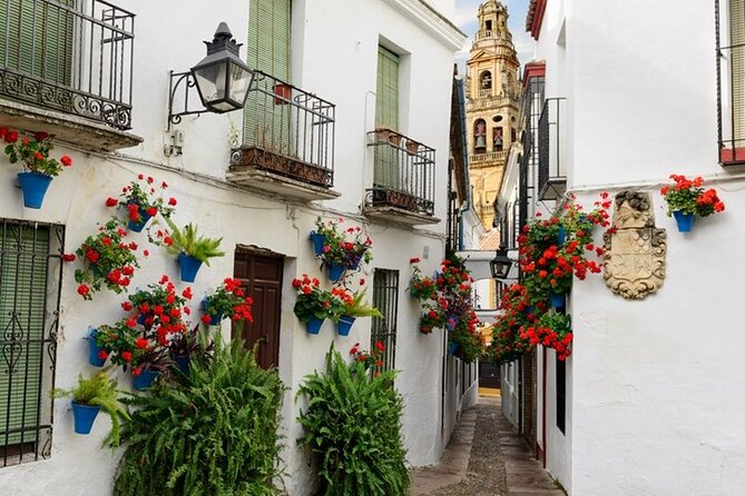 Private Cordoba & Seville Tour With a Finale Horse Carriage Ride - Pricing and Cancellation
