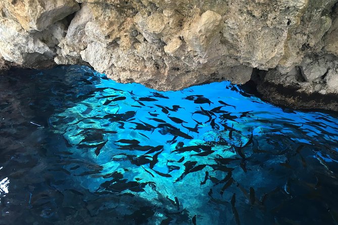 Private Corfu Tour- Glyfada & Paleokastritsa Beach - Meeting and Pickup Information