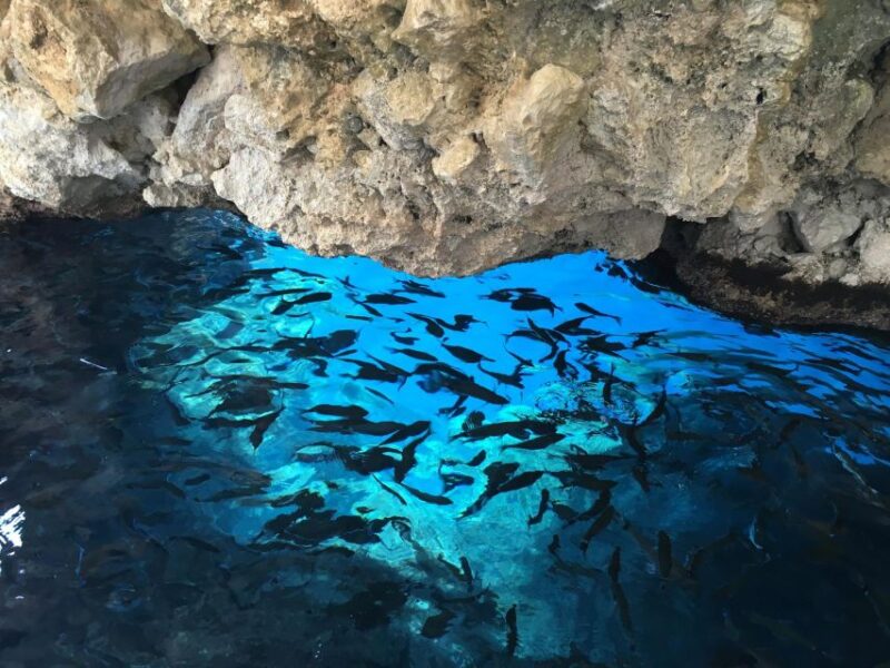 Private Corfu Tour - Paleokastritsa & Glyfada Beach - Paleokastritsa Beach