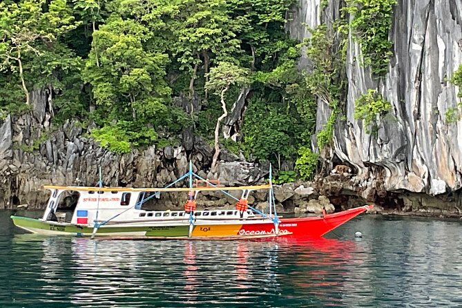Private Coron Ultimate Tour - Traveler Accessibility