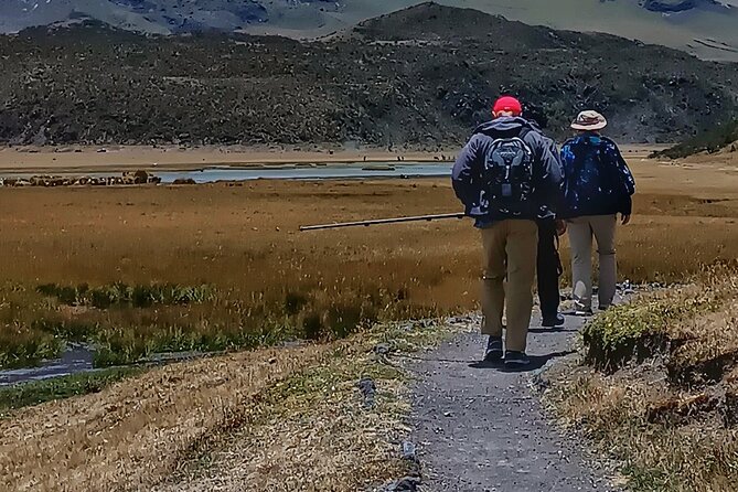 Private Cotopaxi Volcano Hiking With Horse Back Riding Beginners - Lunch and Traditional Cuisine