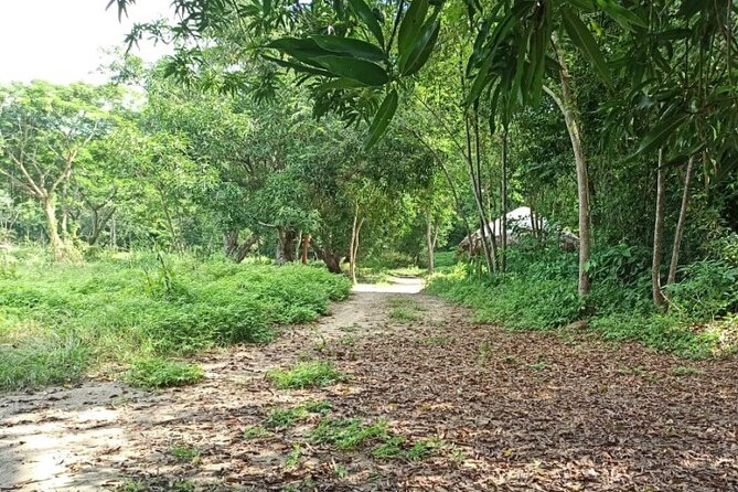 Private Cotton-Top Tamarin Adventure Tour - Conservation Efforts