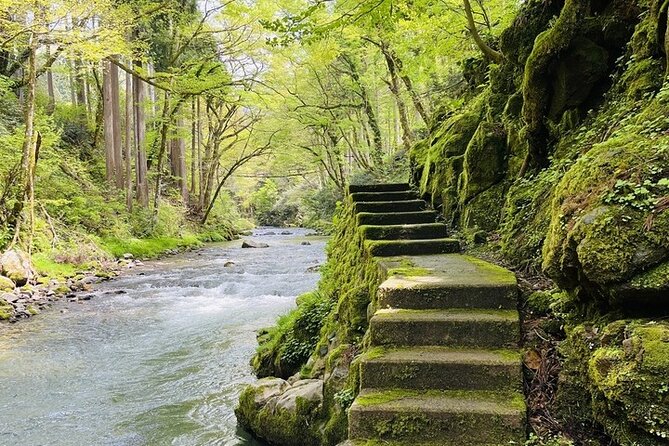 Private Countryside Tour From Echizen With Monk - Accessibility and Restrictions