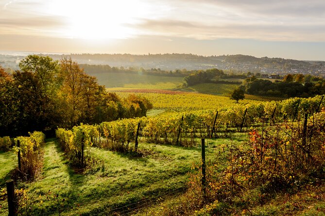 Private Countryside Tour With Wine Tasting In Stunning Surrey - About the Guide