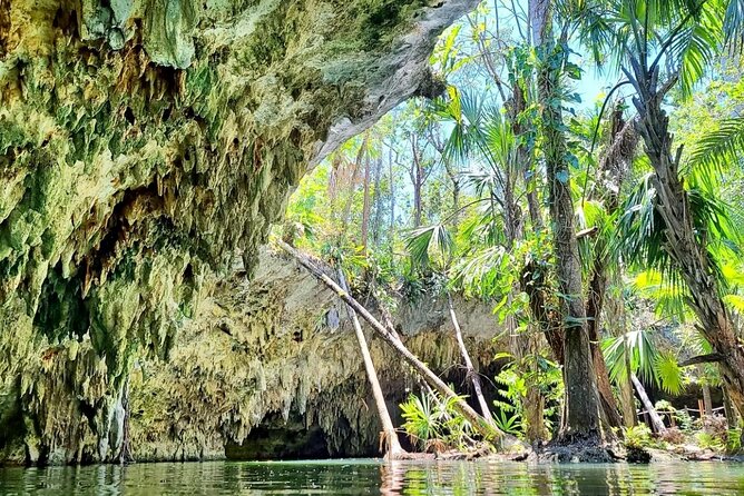 Private Cozumel Jeep Tour & Jade Caverns Cenote: All-Inclusive - Pickup and Meeting Information