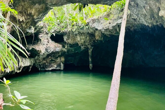 Private Cozumel Jeep Tour & Jade Caverns Cenote: All-Inclusive - Traveler Reviews and Experiences