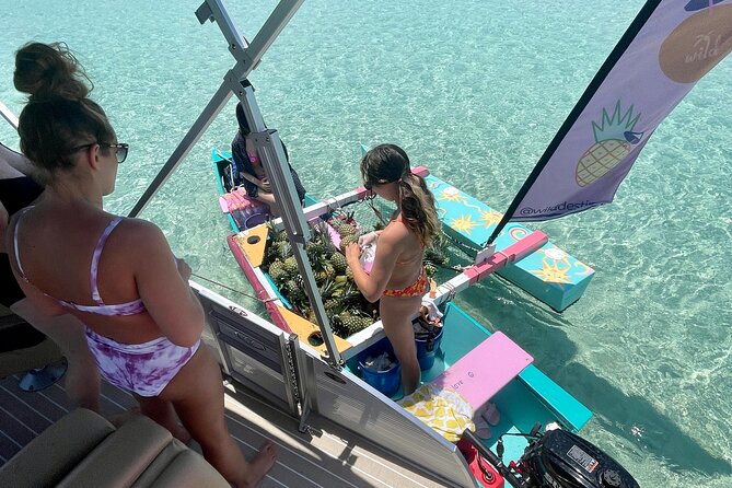 Private Crab Island Pontoon Charter With Inflatables - Whats Included in the Charter