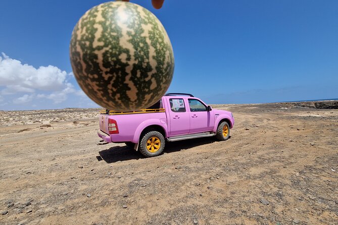 Private Creative Pictures Full Day Island Tour (Off Road Inc.) - Cancellation and Reservation Policy