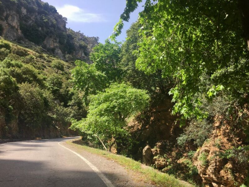 Private Cretan Wild Sights & Local Slow Food Tour - Sampling Cretan Dairy and Honey