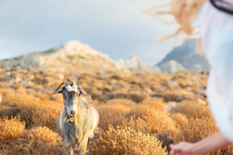 Private Crete Far West Tour With Hiking, History & Beaches - Wine Tasting Experience