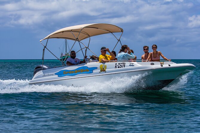 Private Cruise Along Aruba Coastline With Snorkeling - Meeting and Check-in