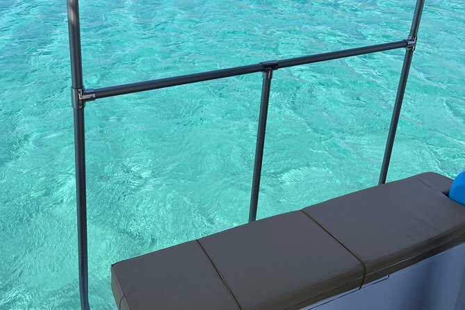 Private Cruise Around Mykonos Island-Half Day Local Experience - Cruise Overview