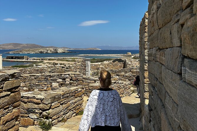 Private Cruise Around Mykonos Island-Half Day Local Experience - Accessibility Details