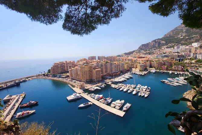 Private Cruise Excursion on the French Riviera - Transportation and Accessibility