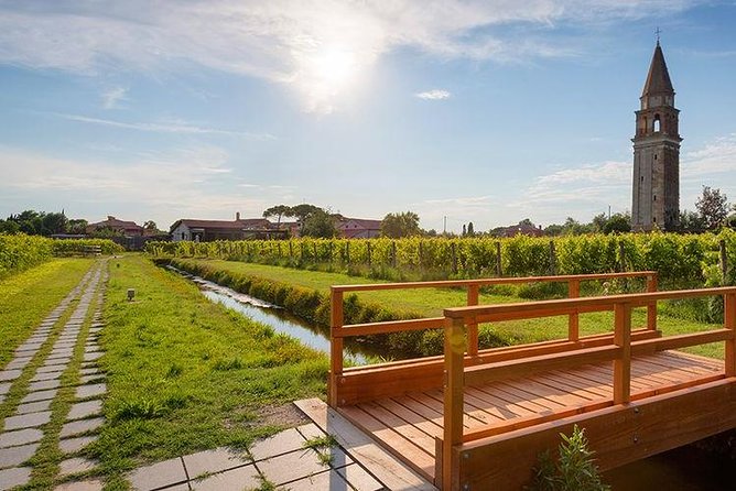 Private Cruise: Murano, Burano and Torcello Full Day - Pickup and Meeting Details