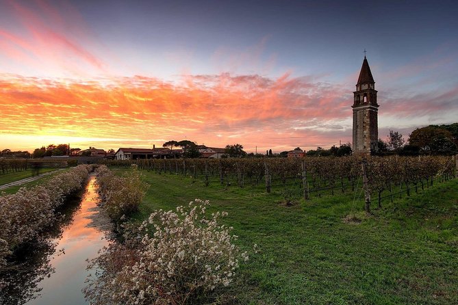 Private Cruise: Murano, Burano and Torcello Full Day - Tour Schedule and Policies