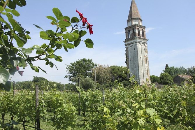 Private Cruise: Murano, Burano and Torcello Full Day - Reviews and Feedback