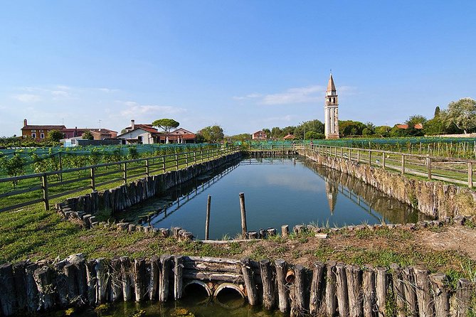 Private Cruise: Murano, Burano and Torcello Full Day - Discovering Burano