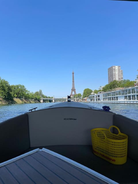 Private Cruise on the Seine in Paris - Experience Highlights