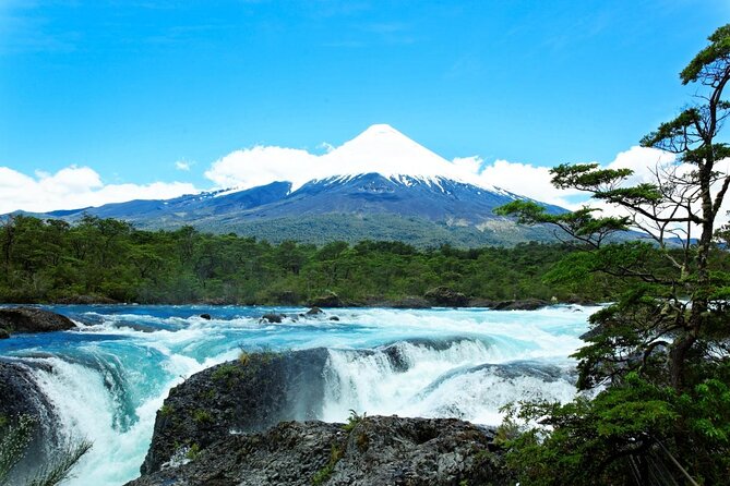 Private Cruise Shore Excursion From Puerto Montt: Land of Volcanoes - Glowing Guest Reviews