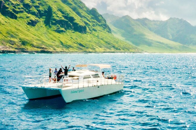 Private Cruise Swim With Dolphin - Snorkel Gear