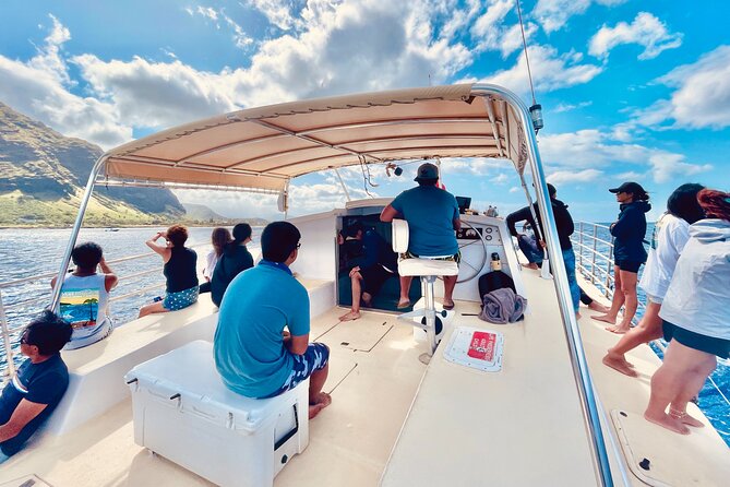 Private Cruise Swim With Dolphin - Private Tour Experience