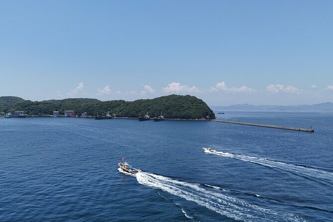 Private Cruise to Ieshima Island with Lunch Included - Final Stop at Maamii Café