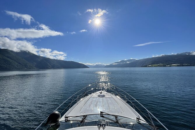 Private Cruise to Sognefjord, Flåm and Nærøyfjord - Tour Accessibility and Inclusions
