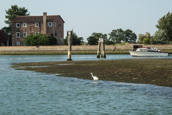 Private Cruise: Venice Unspoiled Lagoon - Unique Venetian Lagoon Experience
