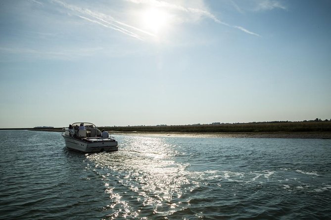 Private Cruise: Venice Unspoiled Lagoon - Island Landscapes and Cultures