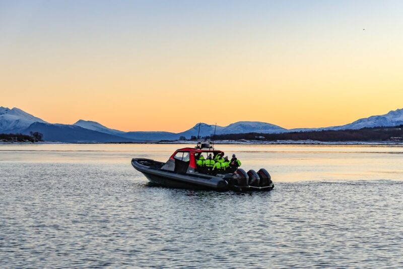 Private Cruise With High Speed RIB - Wildlife Sighting Opportunities